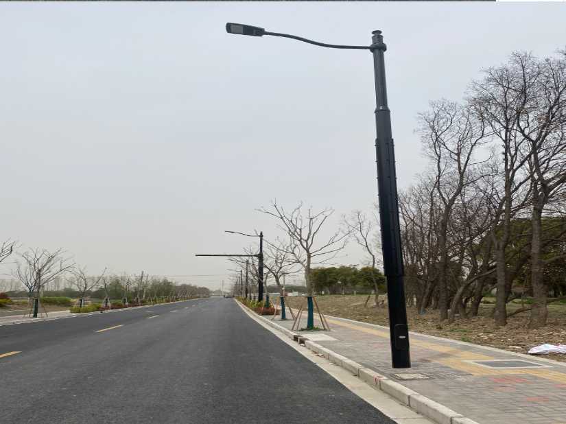 岱山县上海综合杆 太阳能路灯工程